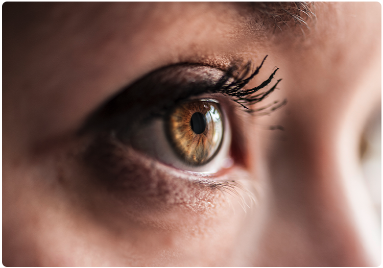 Vision Specialists Emergency Eye Care Optometrtists Doctor Vision Specialists Emergency Eye Care Optometrtists Doctor
