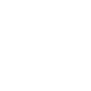 Swarovski Vision Specialsits W